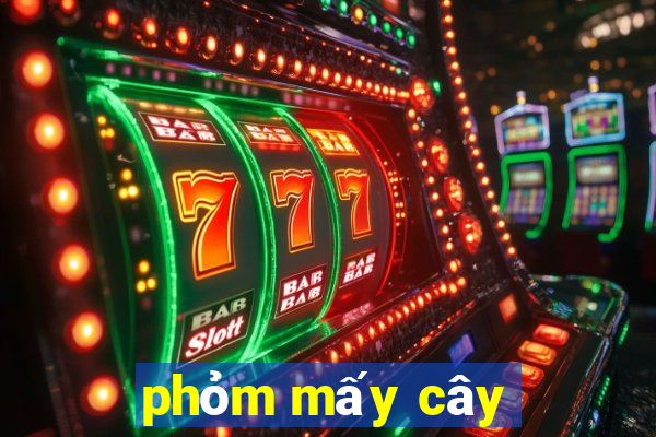 phỏm mấy cây