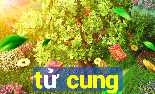 tử cung