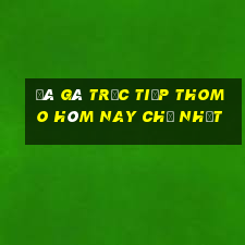 đá gà trực tiếp thomo hôm nay chủ nhật