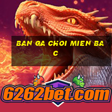 ban ga choi mien bac