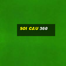 soi cau 360