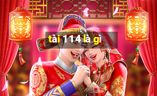 tài 1 1 4 là gì