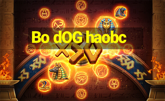 Bo dOG haobc