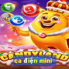 ca điện mini