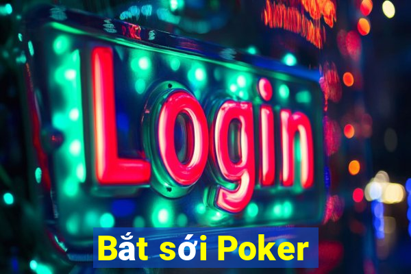 Bắt sới Poker