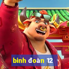 binh đoàn 12