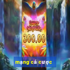 mạng cá cược