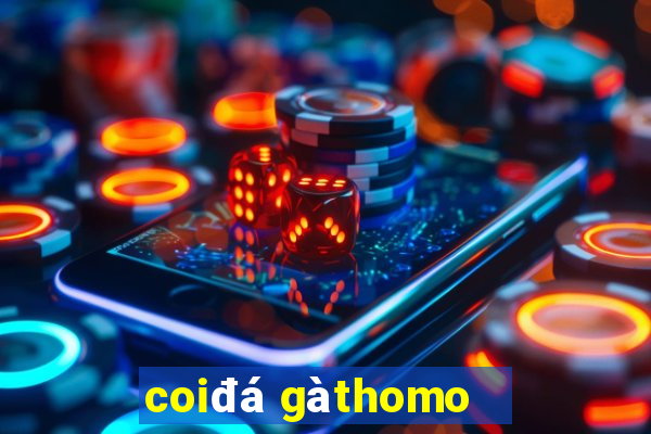 coi đá gà thomo