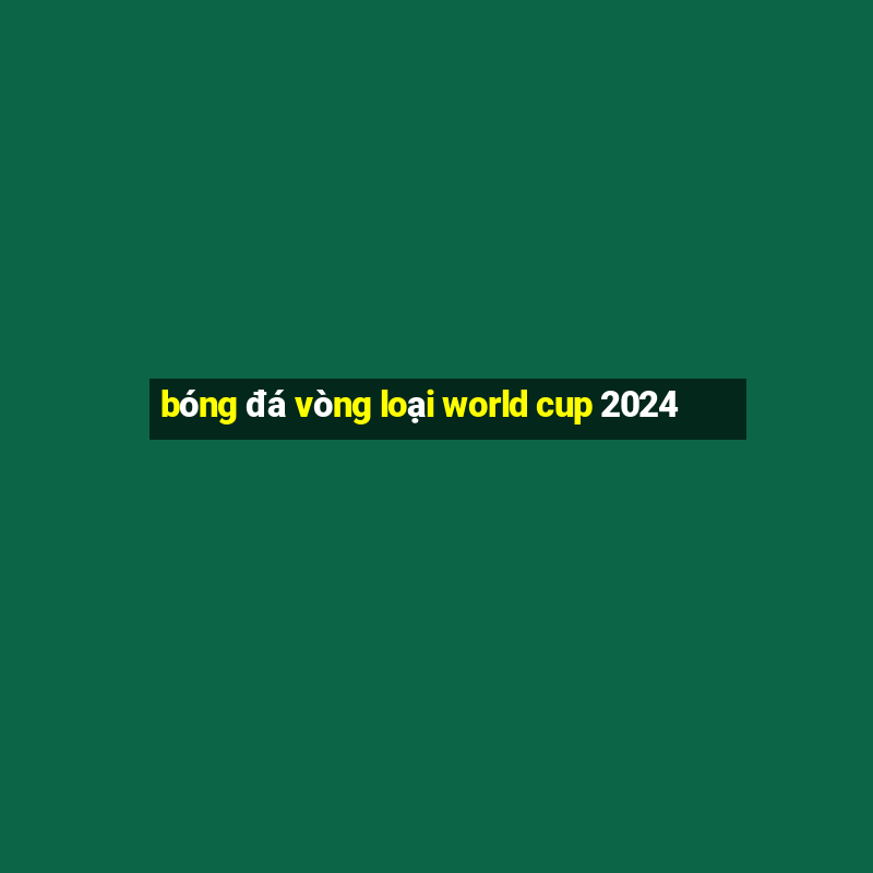 bóng đá vòng loại world cup 2024