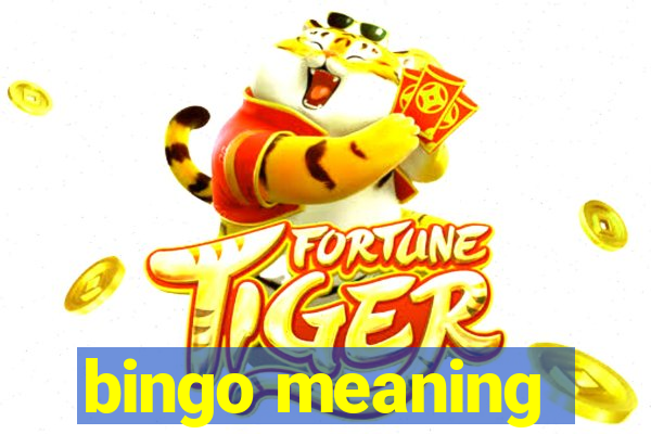 bingo meaning