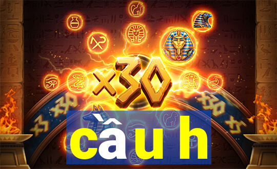 cầu h