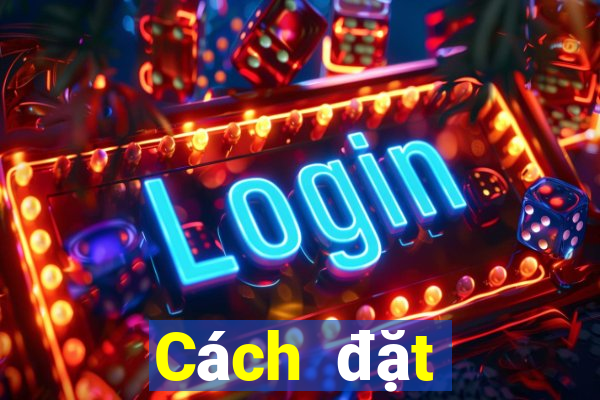 Cách đặt cược XSCT ngày 4