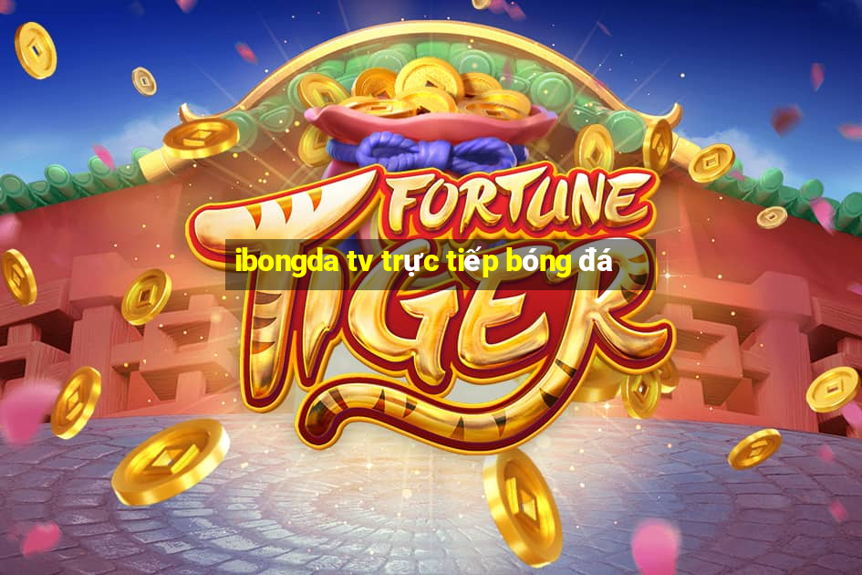 ibongda tv trực tiếp bóng đá