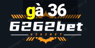 gà 36