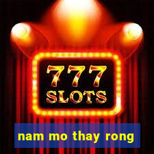 nam mo thay rong