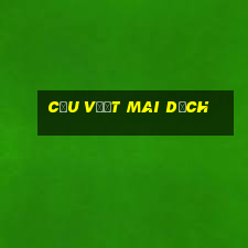 cầu vượt mai dịch