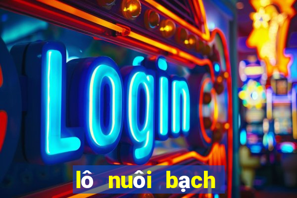 lô nuôi bạch thủ khung 2 ngày