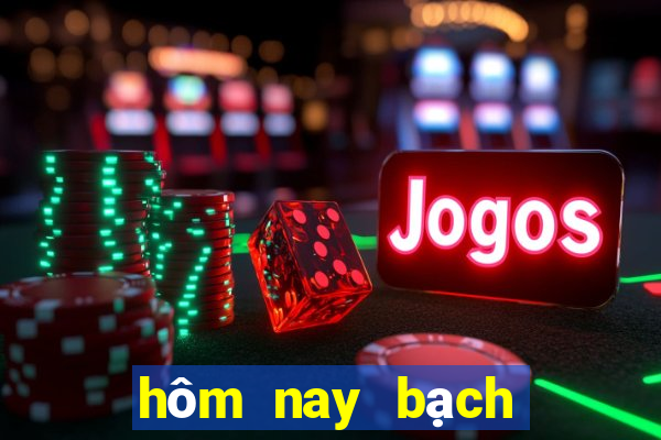 hôm nay bạch thủ lô gì