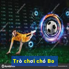 Trò chơi chó Bo