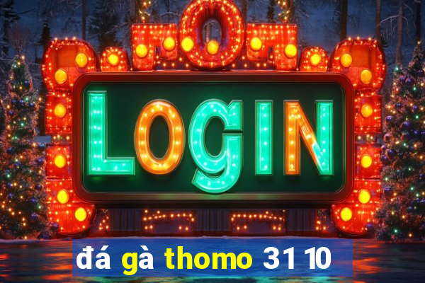 đá gà thomo 31 10