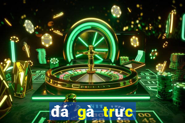 đá gà trực tiếp casino