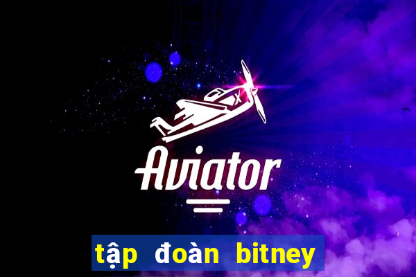 tập đoàn bitney fans club