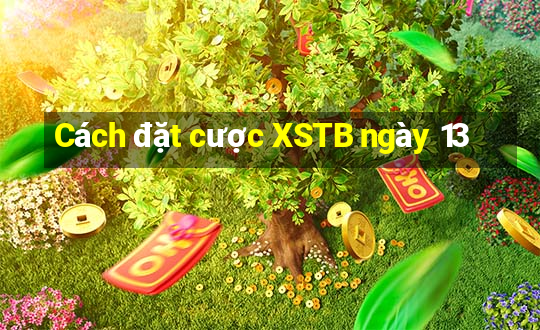 Cách đặt cược XSTB ngày 13