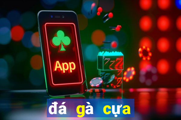 đá gà cựa sắt campuchia 2018