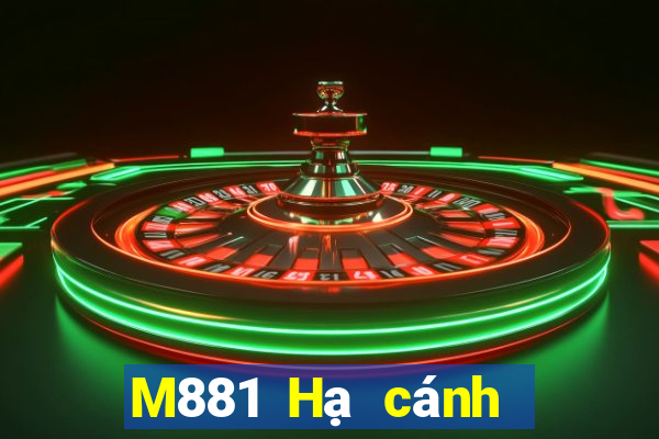 M881 Hạ cánh giàn Đỗ Bảo 1