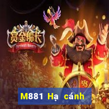 M881 Hạ cánh giàn Đỗ Bảo 1