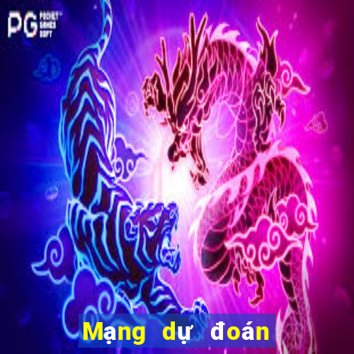 Mạng dự đoán tỷ số bóng rổ