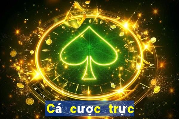 Cá cược trực tuyến v9bet