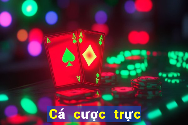 Cá cược trực tuyến v9bet