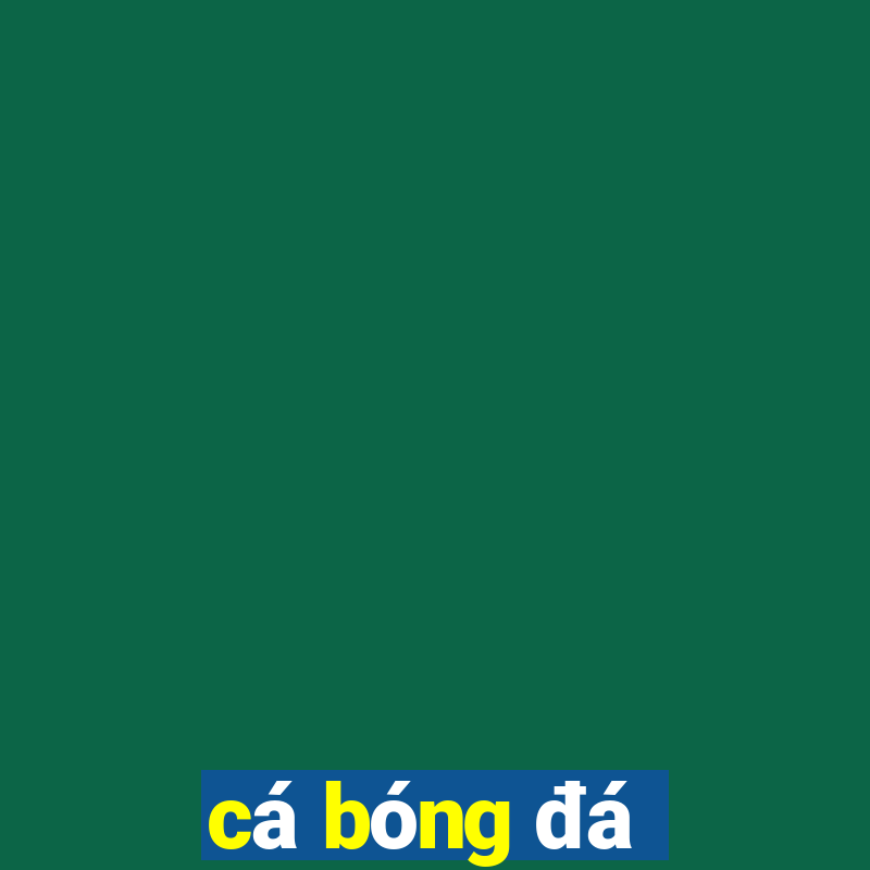 cá bóng đá