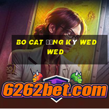 Bo Cat Đăng ký wed wed