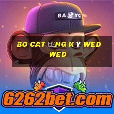 Bo Cat Đăng ký wed wed