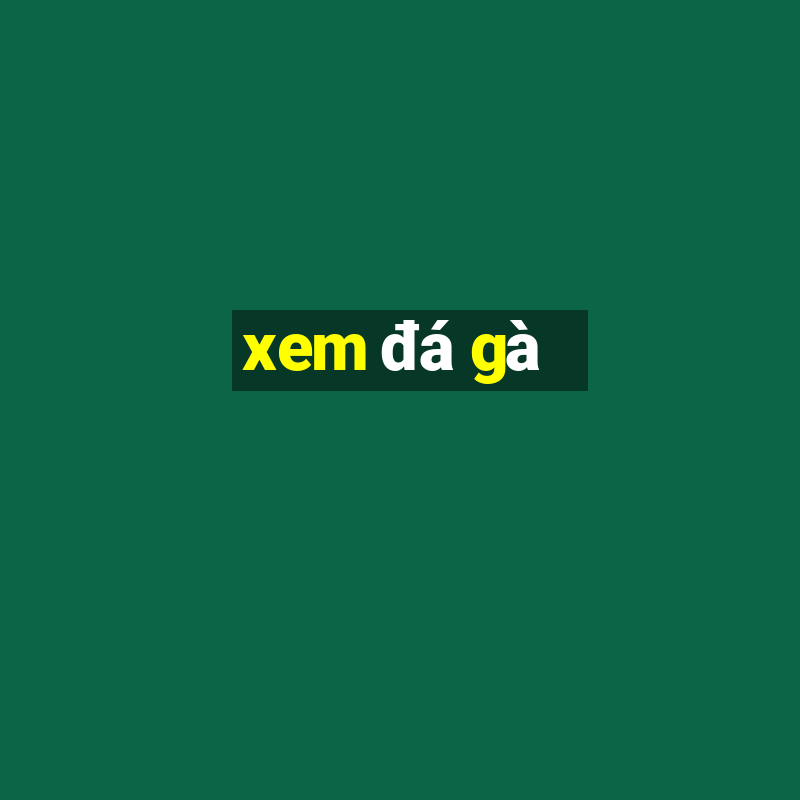 xem đá gà