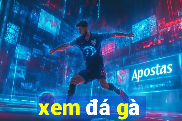 xem đá gà