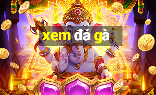 xem đá gà