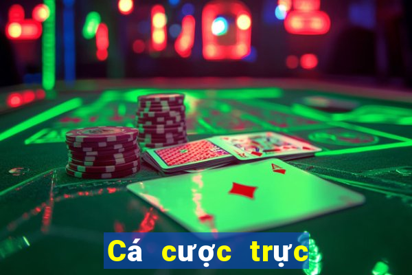 Cá cược trực tuyến bongvip