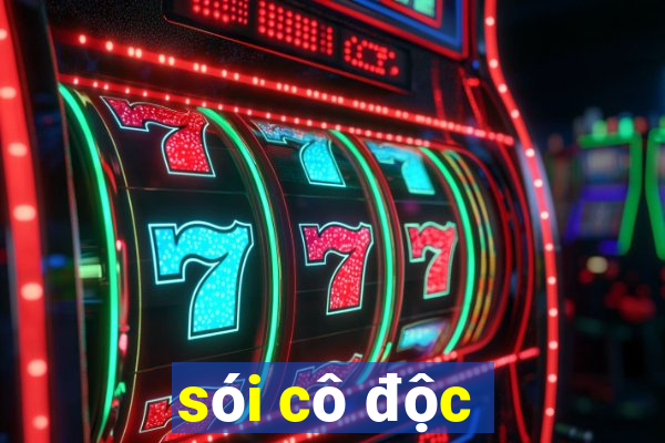 sói cô độc