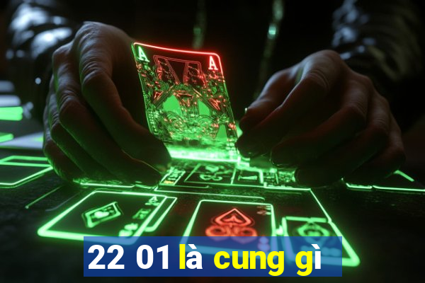 22 01 là cung gì