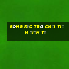 sòng bạc trò chơi tiền điện tử