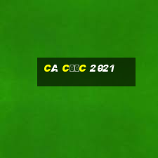 Cá cược 2021