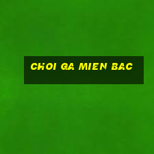 choi ga mien bac