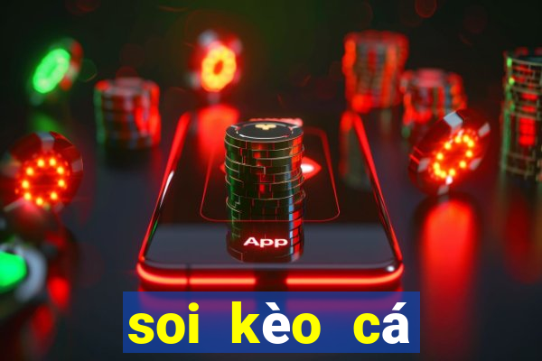 soi kèo cá cược bóng đá