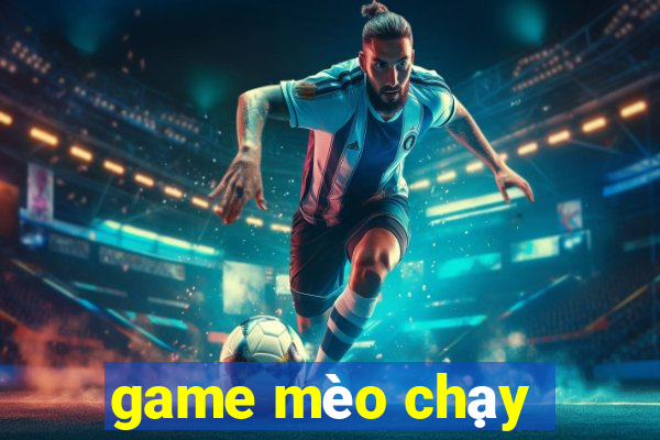 game mèo chạy