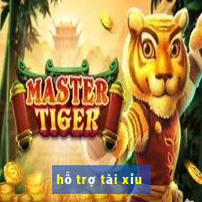 hỗ trợ tài xỉu