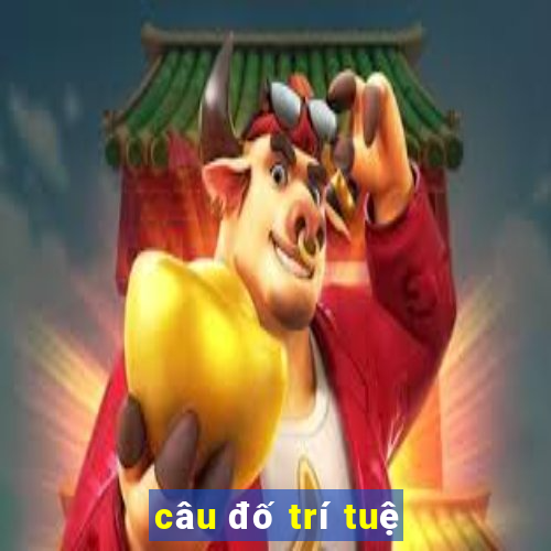 câu đố trí tuệ