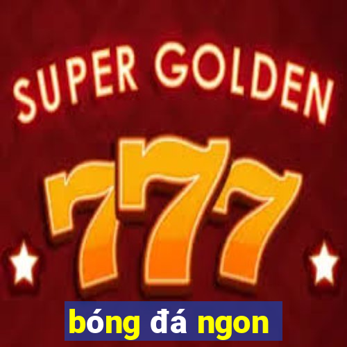 bóng đá ngon